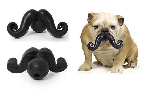 moustache,barbe, chien